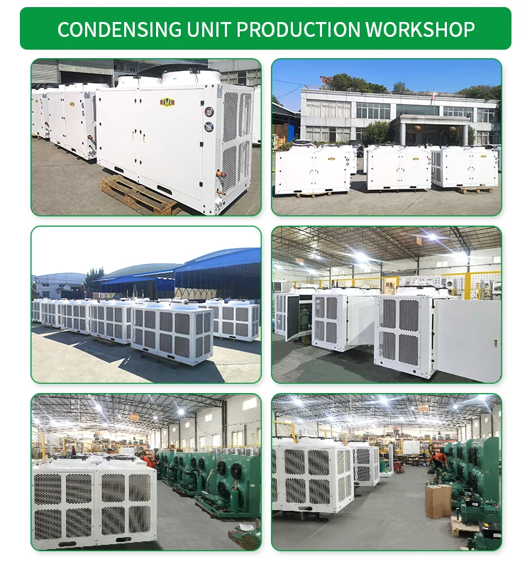Condensing Unit, Scroll, 220v/60hz - detail 30