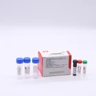 Test Most Popular African Swine Fever ASF Real-time PCR Test Kit For ASFV