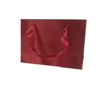 Bag Silk Custom Hot Stamping Logo Cosmetic Bag Designers Paper Bag With Satin Silk Shopper