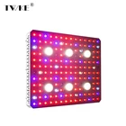 Cob Led Led Grow Led Lights 3000W Professional COB VEG/BLOOM Plant LED Grow Light