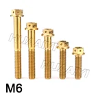 Wholesale Grade 5 Titanium Motorcycle Bolts M6 Gold Color Titanium Hex Flange Head Bolts Motor Fix Screw