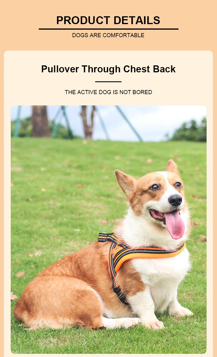 Soft Vest Neck Chest Adjustable Reflective Light weight Harness Anti-Twist Pet Lead Combo Dog Collar Leash And Harness Set