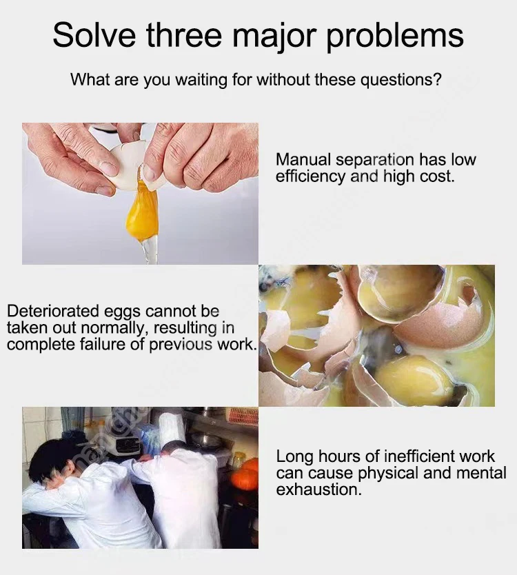 White Yolk Liquid Separation Egg Separator Machine Buy Egg White Egg