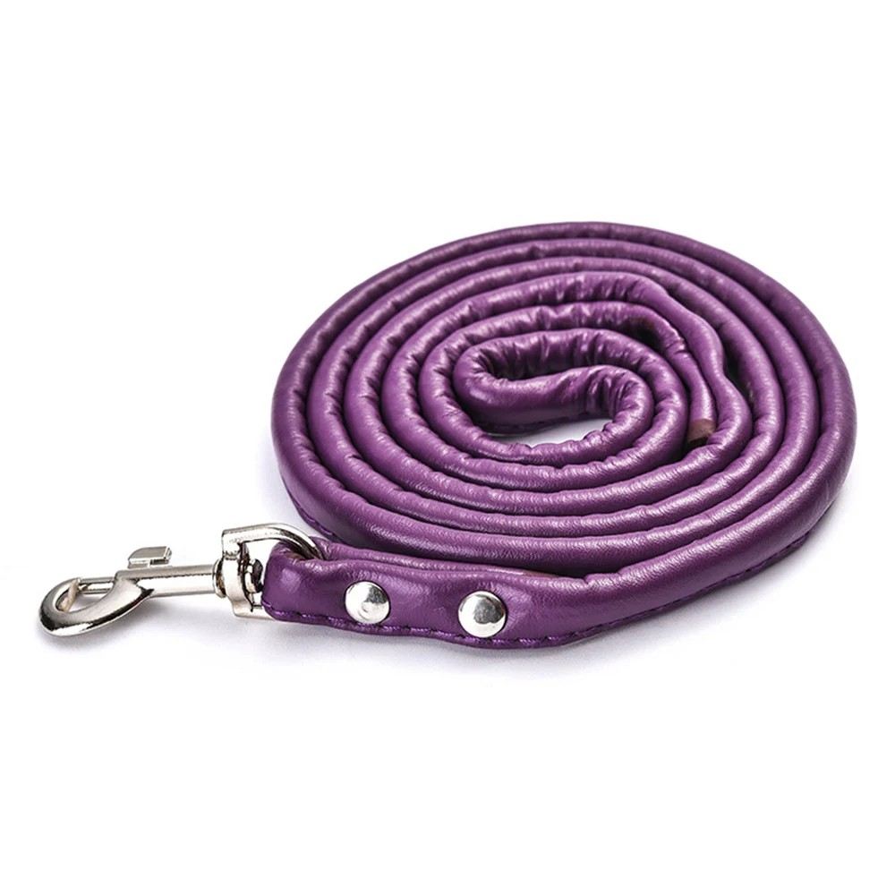 purple leash
