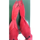 Quality Ornament High Quality Artificial Feather Bird Red Cardinal Birds With Clips Christmas Tree Decor And Ornament
