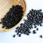 Bean Beans Kidney Beans 2020 Organic Black Kidney Bean Black Beans Price