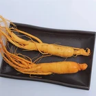 Fresh Root Root High Level Fresh Ginseng Root Soup As A Dish For Sale