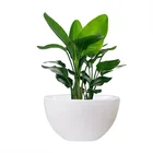 Large Garden Large Outdoor Standing Vase Big Garden Plant Pots White Indoor Flower Pot Planter