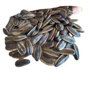 Sunflower Sunflower Seeds 363 Ukraine Black Sunflower Seeds Price 166 Gram Packing