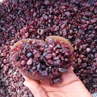 Garnet Rough Garnet Chips Natural Quartz Tumbled Healing Gemstone Stone Raw Rough Garnet Gravel