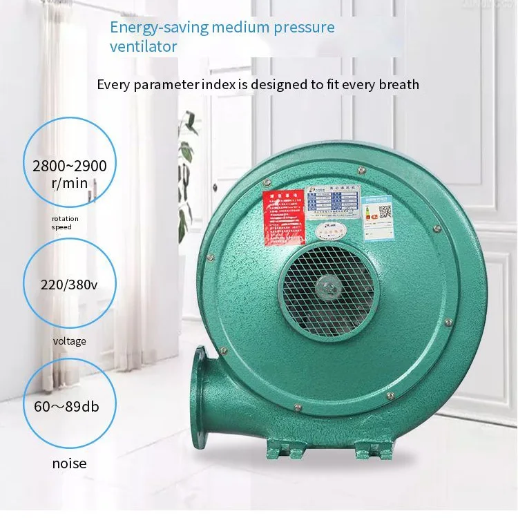 Centrifugal Blower, 220V, Cast Iron - detail 2