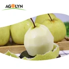 Pear Agolyn New Crop Fresh Ya Pear