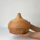 OLAM Ultrasonic Fogger Room Fragrance Home Oil Diffus Essenti New Baby Gift Guangdong Led Light Aroma Diffuser