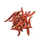 China Manufacture Supply High Quality Dried Red Dry Chillies
