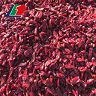 Red Chilli Red Top Grade Red Chilli Seeds Price Nuisanceless Red Chilli Price Supplier