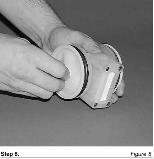 1/4'' vlekvrye staal pneumatiese diafragma pomp P.025/SZPPP/TNL/TF/STV met PTFE wilde diafragma pompe fabriek