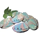 Abalone Shell Natural Polished Abalone Shell Natural Crystal Crafts Seashell