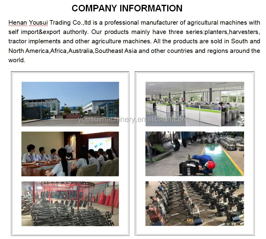 Company Information-1