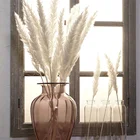 Flower Wedding Flower Bunch Decoration Diy Home Decor Oloured Long High Quailty Faux Pampas Grass