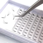 Extension Eyelash Extension Premade Volume Fans 3d 4d 5d 6d 10d Individual Volume Lashes Extension