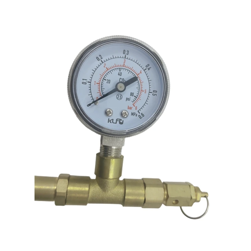 product gas pressure regulator one inlet thread with one gauge release pressure valve for test-5