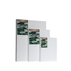 Painting Inkjet Canvas Academy Studio Art Painting Set Stretched Inkjet Canvas Prints Blank Art Canvas