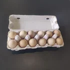Egg Trays Eggs High Quantity Eco Paper Pulp Egg Trays Pulp Egg Trays For 12 Eggs