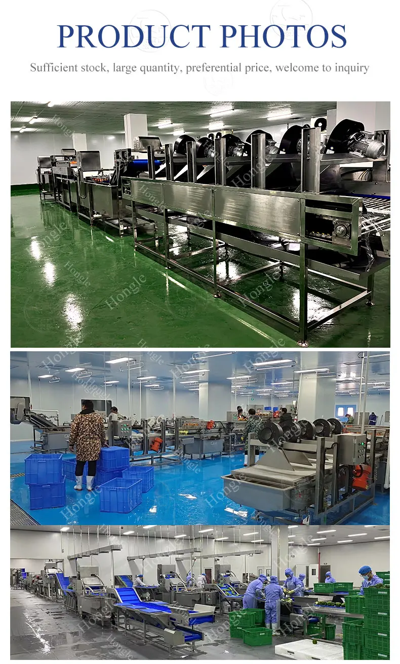 Dehydrator Fruit And Vegetables Packing Peeling Cutting Washing Processing Machines N Vegetable Slicer Cutter Chopper supplier