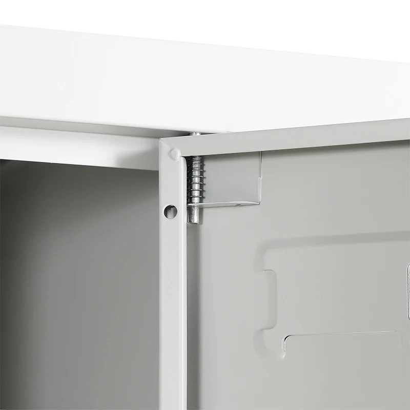 근대적 디자인 화려한 Oem 12 문 금속 사무실 로커들 KD 구조물 9