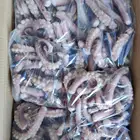 Squid Squid Squid Squid Tentacle Hot Sales Boiled Frozen Squid Tentacle Wholesales