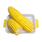 Wholesale Corn Wholesale Cheap Price Canned Vegetables Vacuum Packed Canned Sweet Corn For Sale