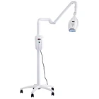 Teeth Whitening Lamp 60 W Diamond Kit Teeth Whitening Lamp Laser