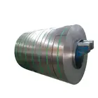 Steel Galvanized Steel Plate/GI Slit Coil/Metal Strip