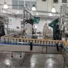 Canned Oranges 3000g Resh Oranges In Cans In Syrup