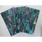 Abalone HCX013 Black Abalone Japanese Abalone Shell Paper