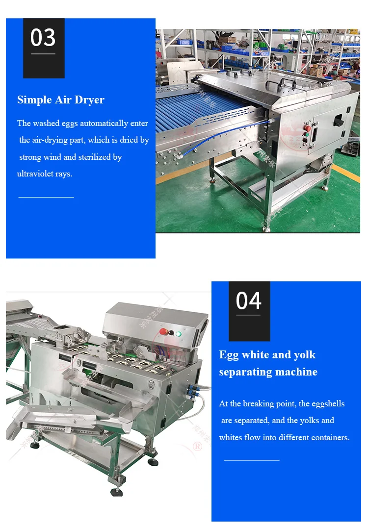 Multifunctional Automatic Egg Cleaner Classifier Grader Machine Small Egg Washing Grading Machine With Low Price supplier