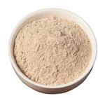 Flour Premix Flour Suppliers Flour Gluten Free Gluten Free Cake Mix Cake Premix Vanila Powder