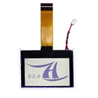 12864 Lcd 12864 Fast Delivery Standard Product 12864 Dots Matrix COG Lcd Graphic Display