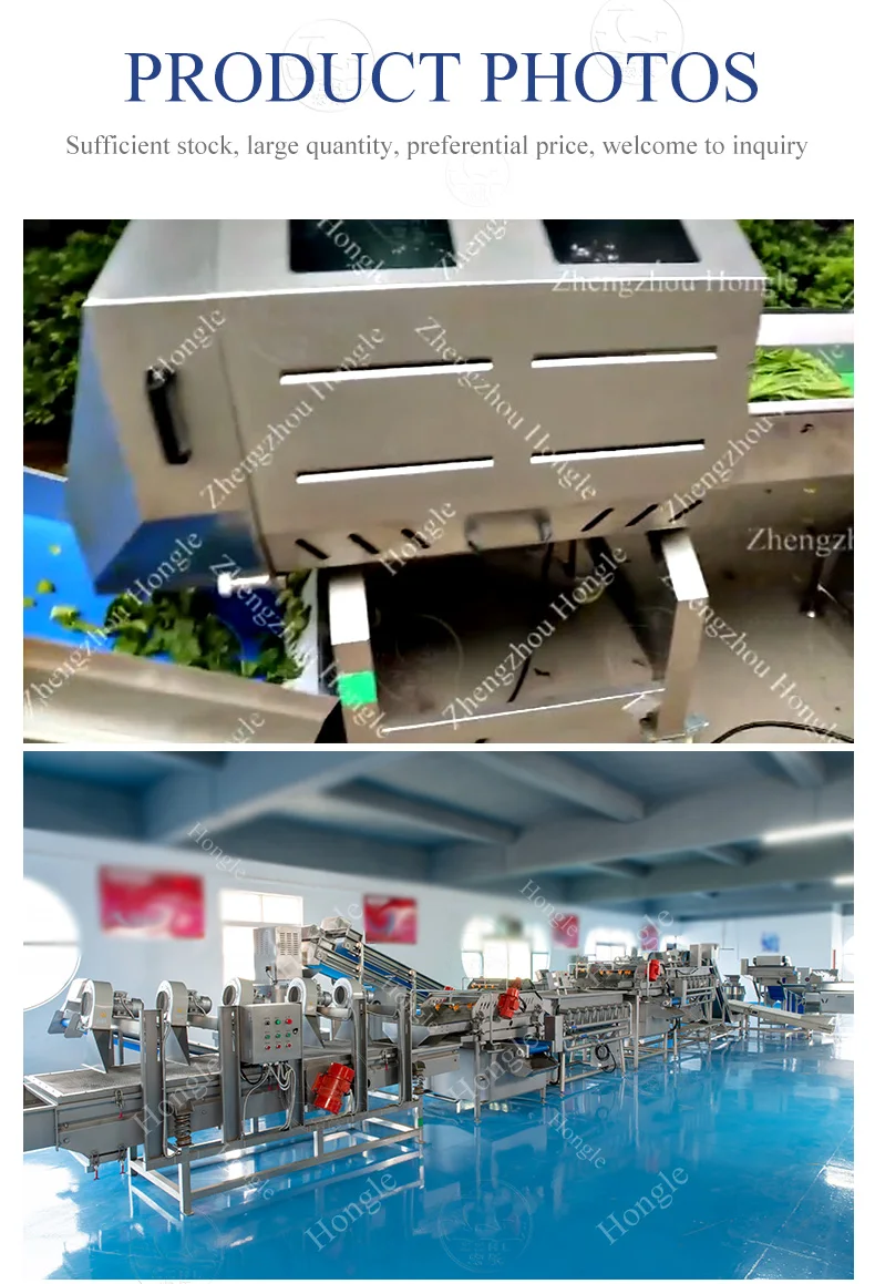 Parsley and Fresh Leaf Vegetable Cutter Machine Spinach Processing Plant with Dicer Function for Fruits and Vegetables factory