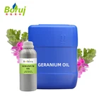 Bulk Oil Manufacturer Supply Wholesale Bulk Price OEM 100% Pure Natural Rose Geranium Essential Oil