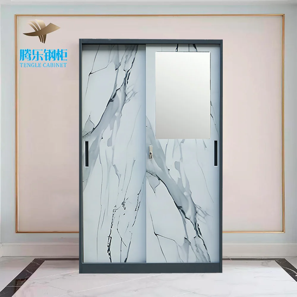 2024 Imprint Pattern Almirah Metal Wardrobe 2-Swing Door Iron Bedroom Furniture Steel Armories Convertible Home Apartment Use