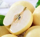 Pear Pear Fruit China Light Sweet Fruit Pear/organic Natural Fresh Pear/Golden Pear