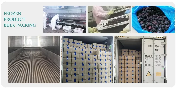 Wholesale Price Bulk 10kg Frozen Blackberries IQF Frozen Blackberry Fruits details