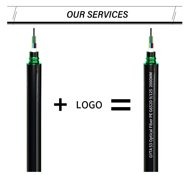 Outdoor Armored Fiber Optic Cable GJYXCH 1KM 2KM Single Mode 1/2/4 Cores with Operating Temperature 40~+70 for Telecom Communication