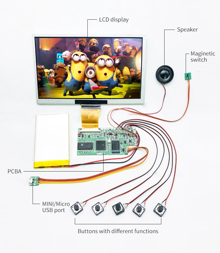 video module details