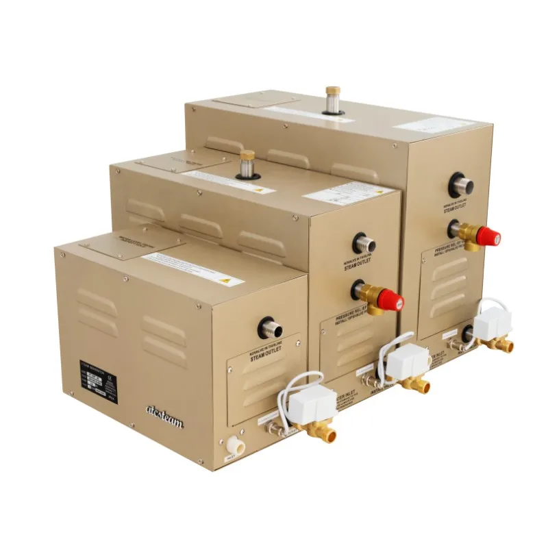 At-30 Steam Bath Generator, ONE, 10 - detail 2