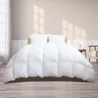 Comforter Customized Accepted Pure Color Full Size Adults Comforter Quilt 100 Goose Duck Feather And Down Winter Duvet
