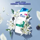 Organic Mild Herb Foaming Anti Gray Hair Fall Control Blackening Shampoo