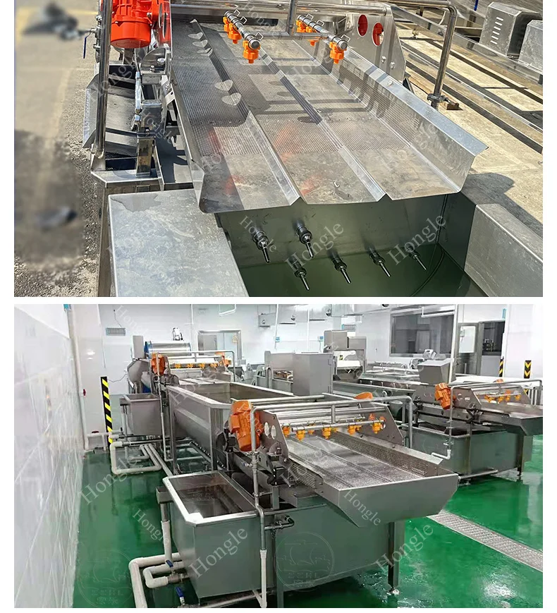 Automatic French Fries Washing Machine for Vegetables Drying Function-Cleaning Red Chilli Stone Dust Vortex Fruit Mushroom Ozone supplier