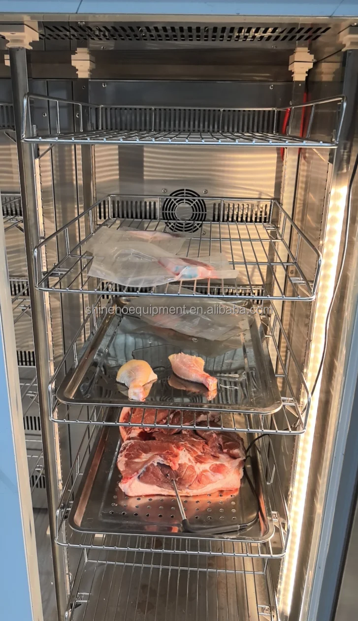Ager and Thawing Refrigerator, 220-240 - detail 16